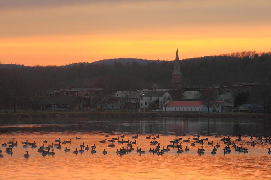 Connecticut River Geese at Barton Cove Photograph by John Burk