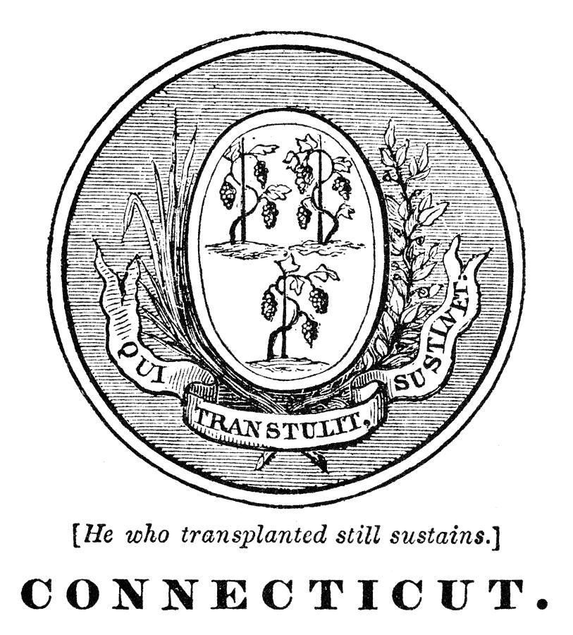 Grape Photograph - Connecticut State Seal by Granger