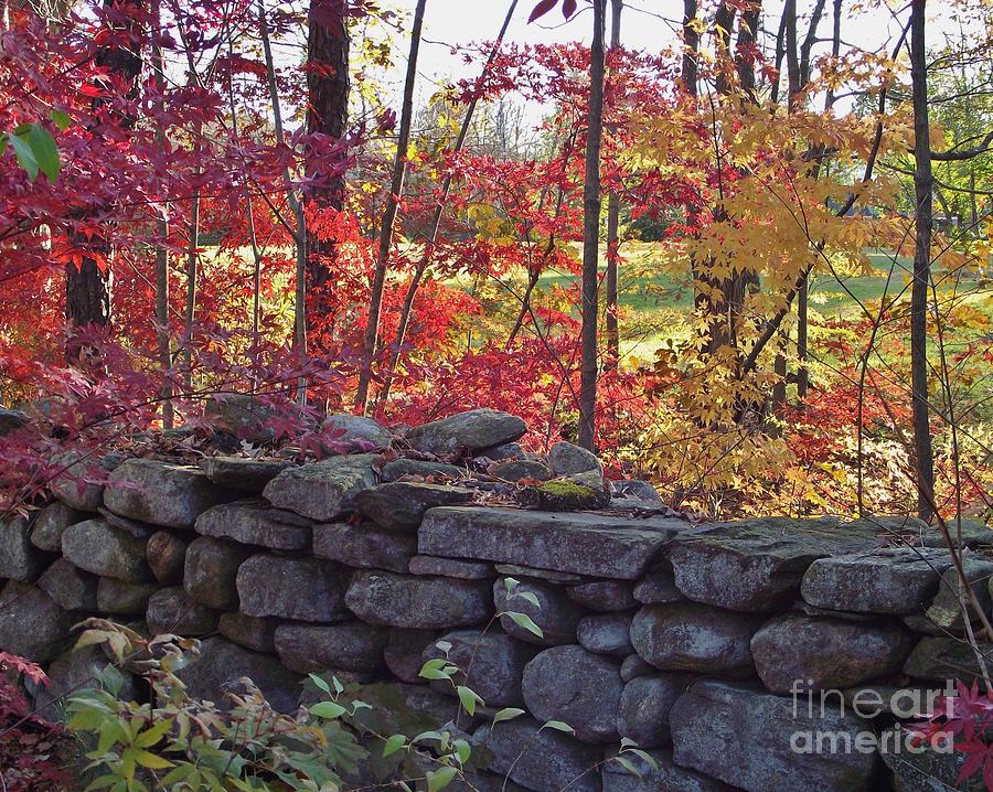 Connecticut Stone Walls Photograph by Michelle Welles
