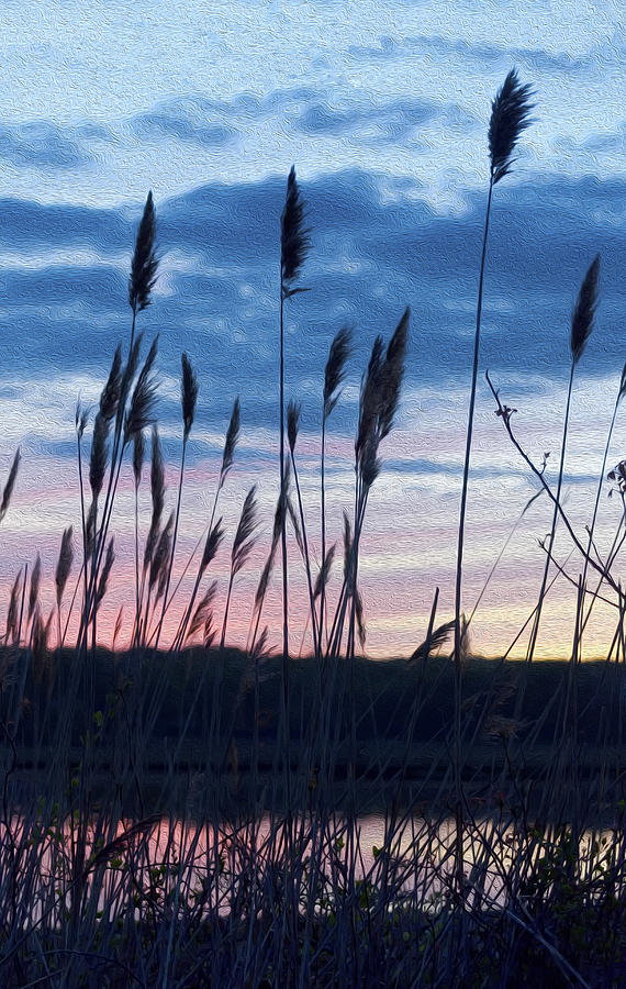 Connecticut Sunset with Reeds and Swirls Photograph by Marianne Campolongo