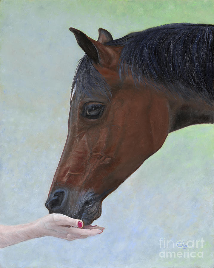 Horse Painting - Connection by Cindy Lee Longhini
