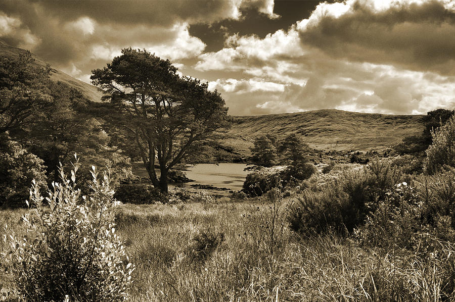 Connemara. Photograph by Terence Davis