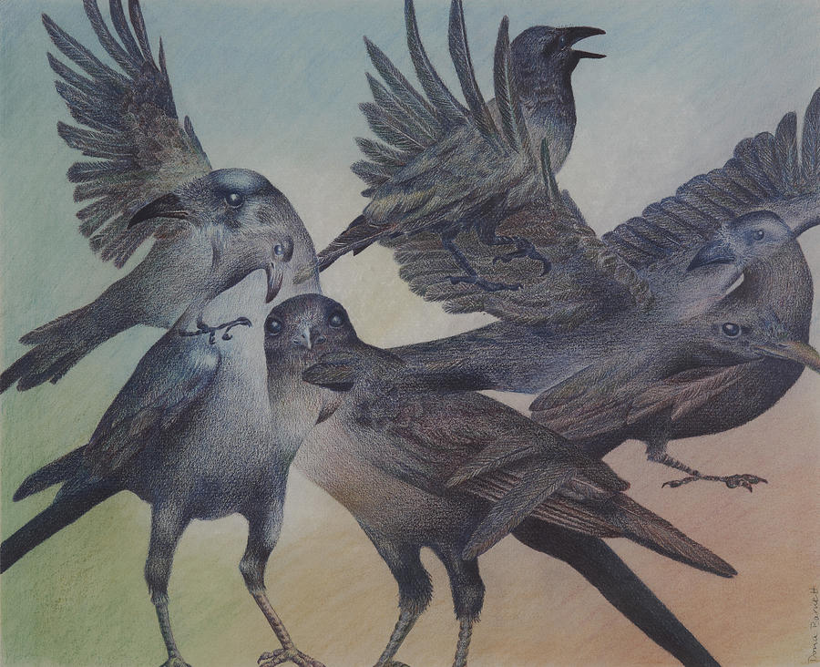Bird Drawing - Conniving Crows by Dona D Barnett
