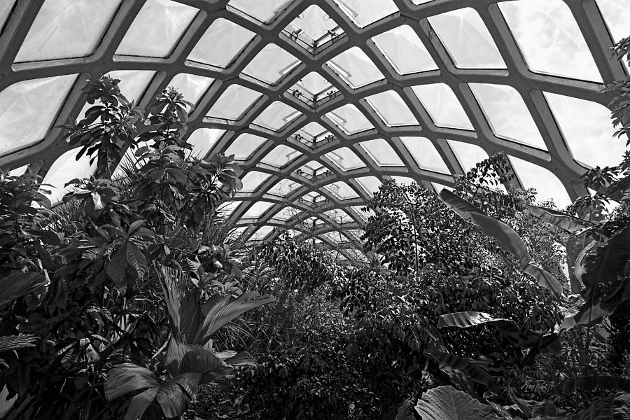 Conservatory Denver Botanic Garden black and white  Photograph by Ann Powell