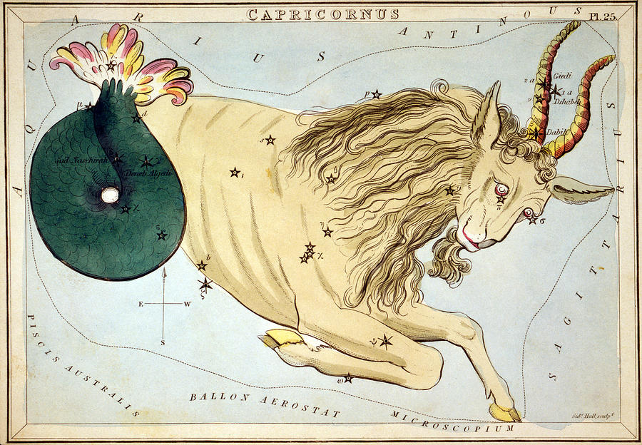 Constellation: Capricorn Photograph by Granger