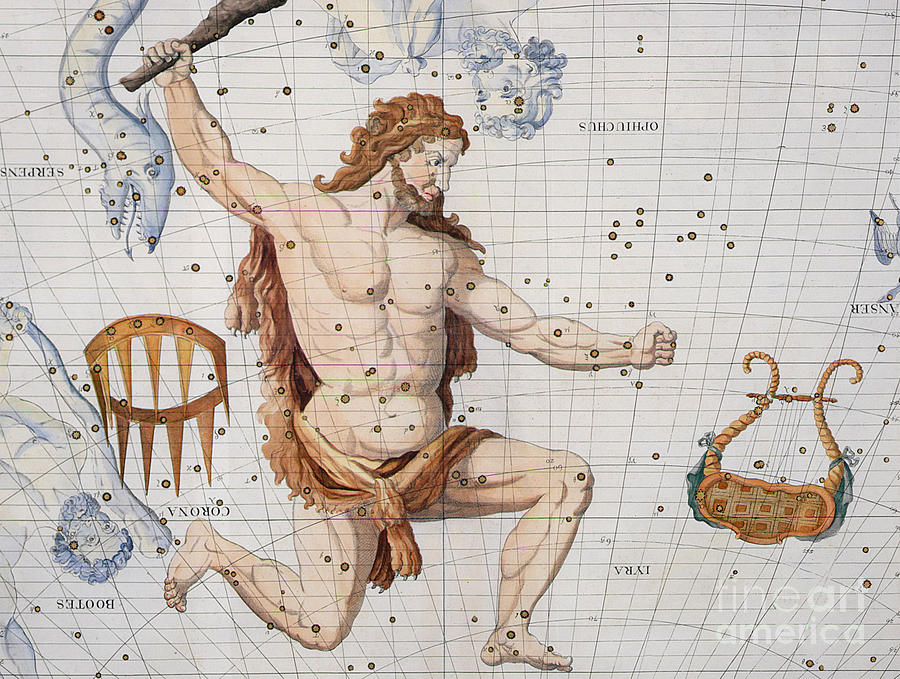 Constellation of Hercules with Corona and Lyra by Sir James Thornhill.