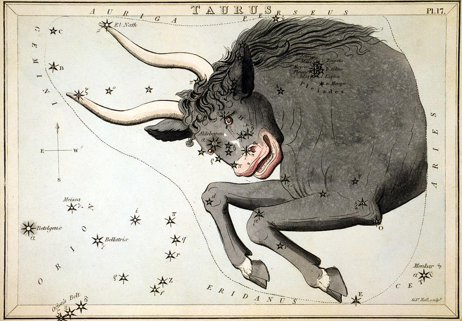 Constellation: Taurus Photograph by Granger