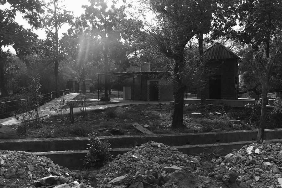 Construction debris and buildings inside the Delhi zoo Photograph by Ashish Agarwal