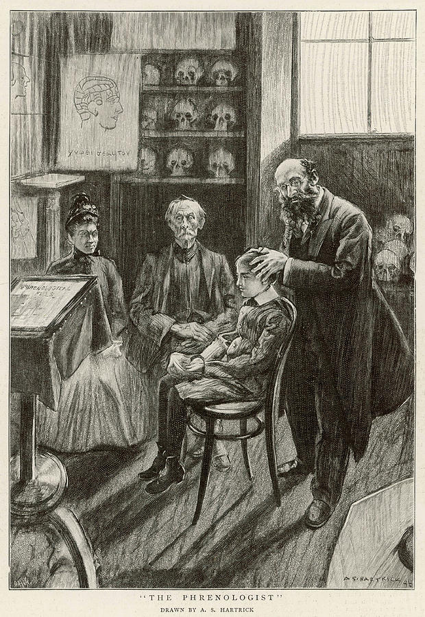 Consulting The Phrenologist - Drawing by Illustrated London News Ltd ...