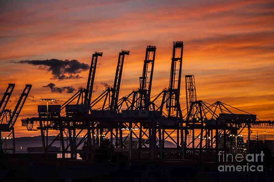 Container Cargo Loading Cranes Photograph by Spencer Grant