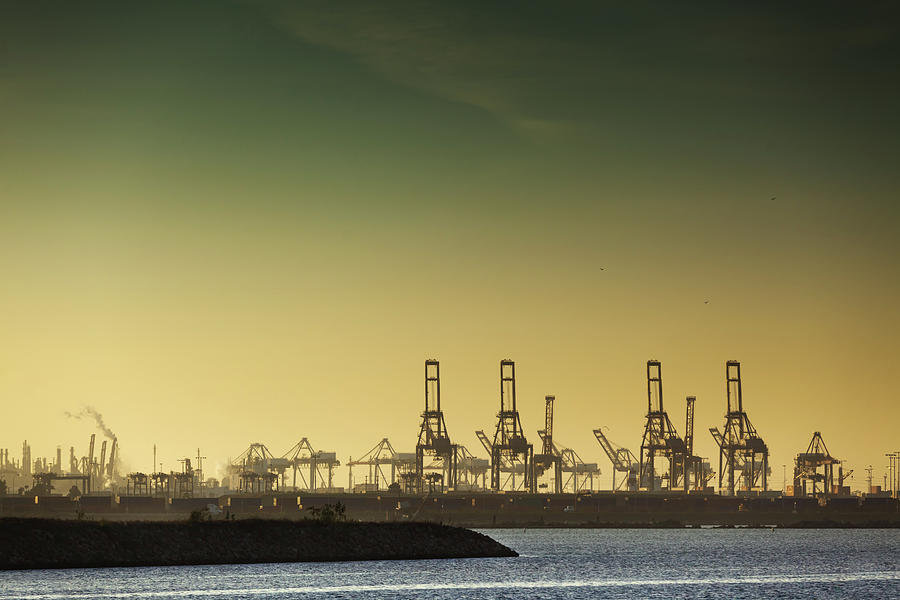 Container Cranes At Port Of Los Angeles Photograph by Halbergman