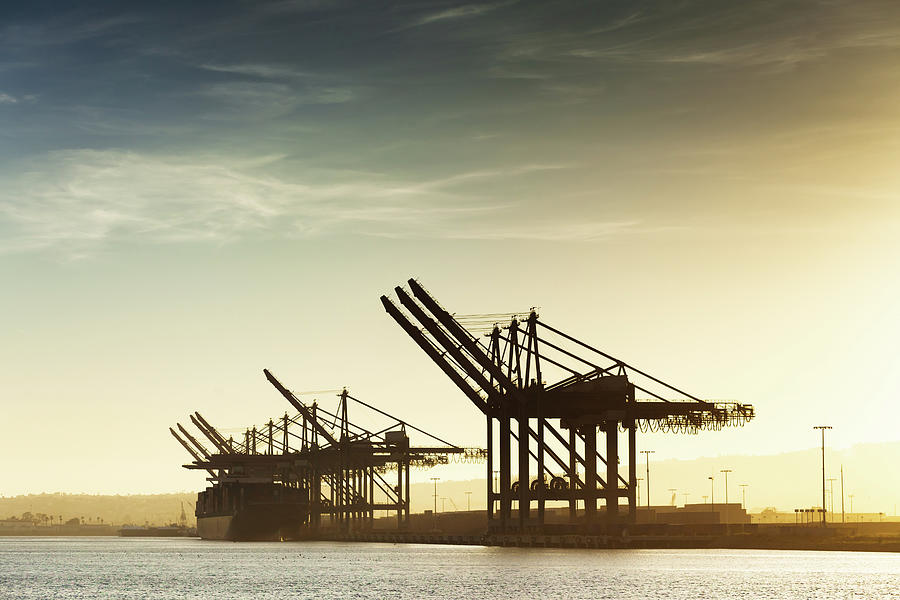Container Cranes At The Port Of Los Photograph by Halbergman