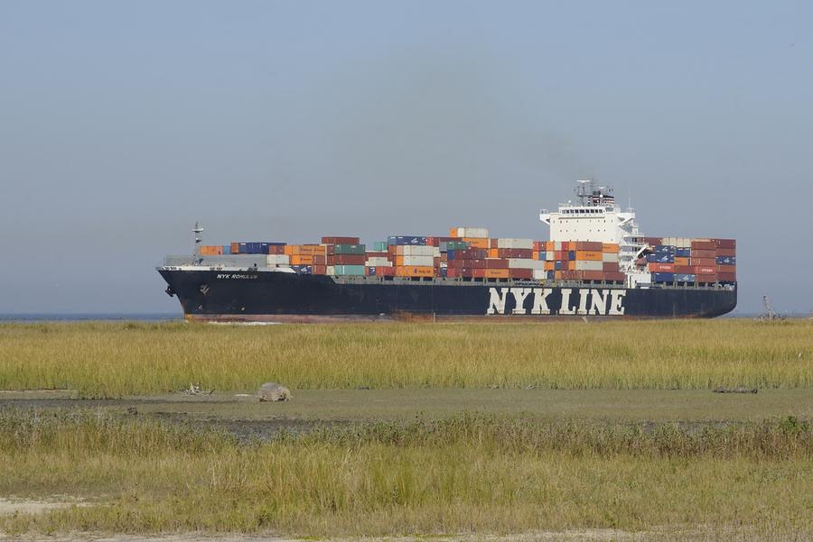 Container ship on a Georgia marsh. Photograph by Bradford Martin