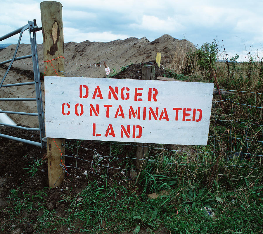 Sign Photograph - Contaminated Land Warning Sign by Robert Brook/science Photo Library