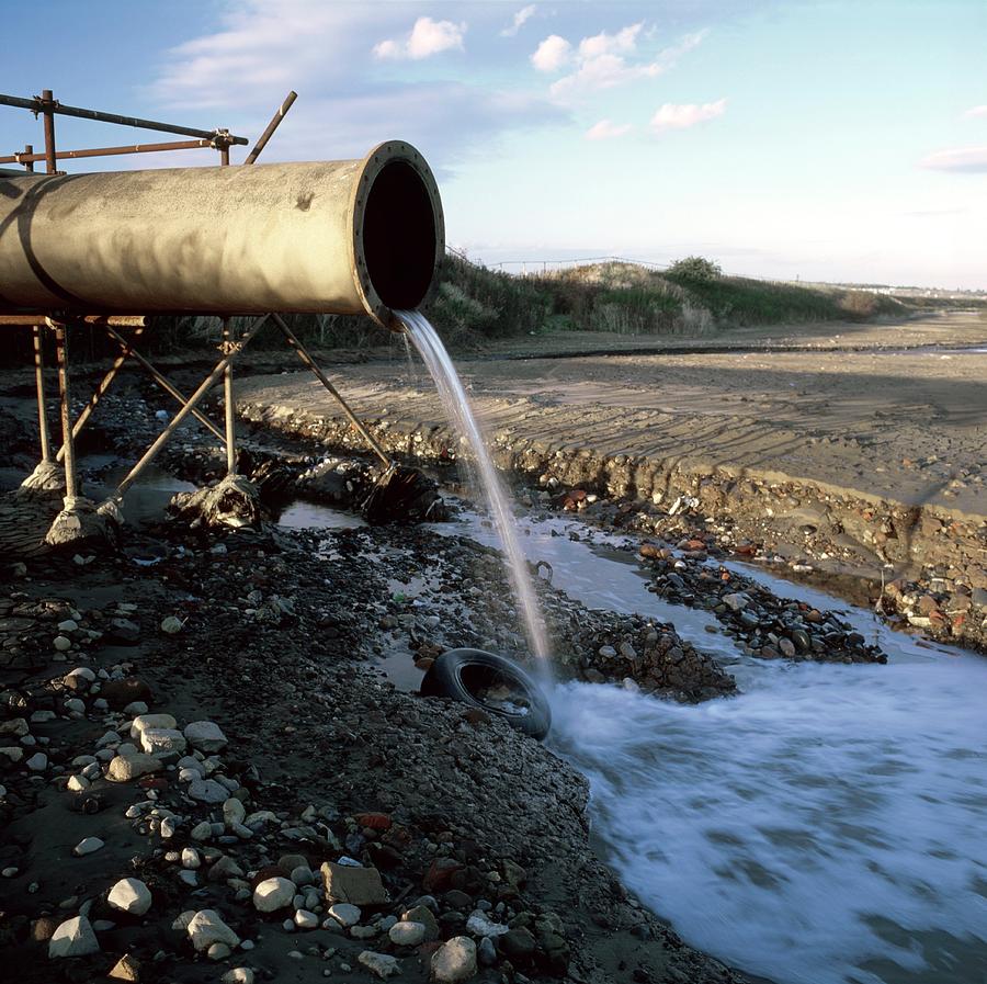Effluent Photograph - Contaminated Wastewater by Robert Brook/science Photo Library