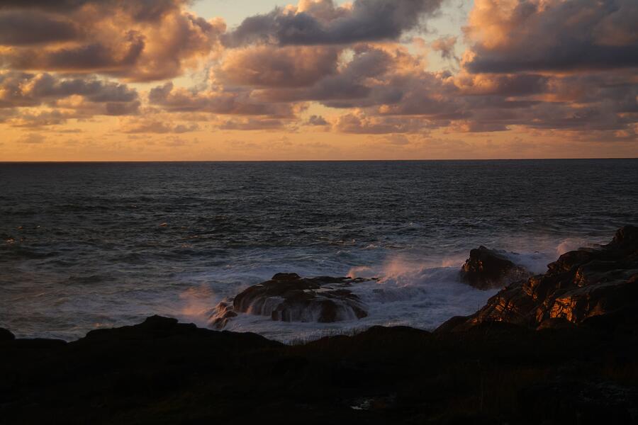 Contemplating In Paradise Photograph by Jeff Swan - Fine Art America