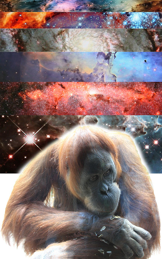 Planet Digital Art - Contemplating Multiple Universes by John Lautermilch
