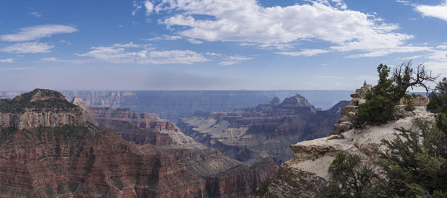 Grand Canyon National Park Photograph - Contemplation by Mike Herdering