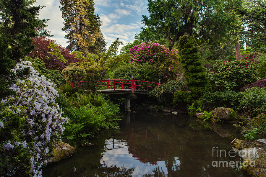 Kubota Garden Photograph - Contemplative Northwest Garden by Mike Reid