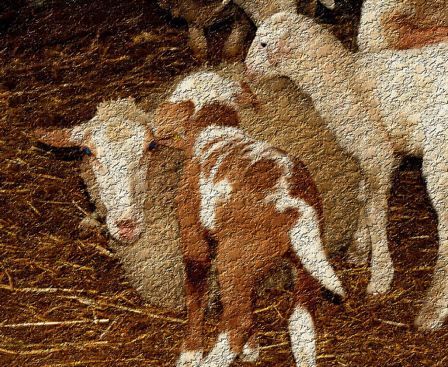 Sheep Painting by Doc Braham