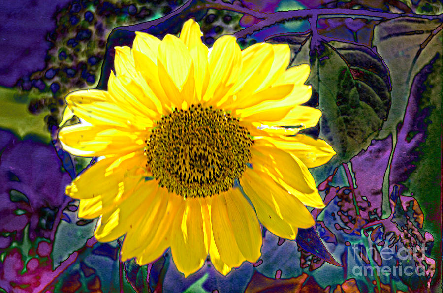 Contemporary Sunflower Photograph by Luther Fine Art