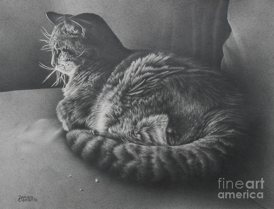 Contentment Drawing by Pamela Clements