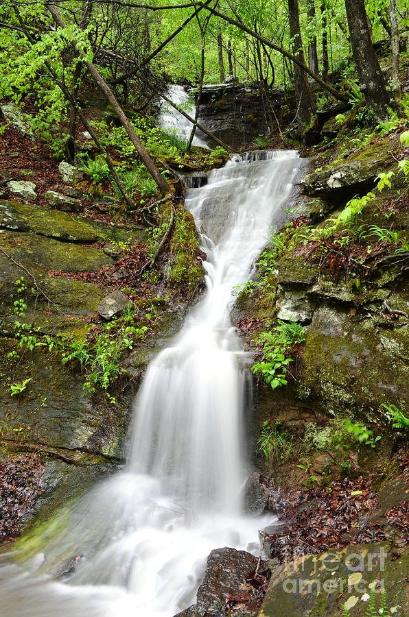 Continuous Drop Photograph by Deanna Cagle - Fine Art America