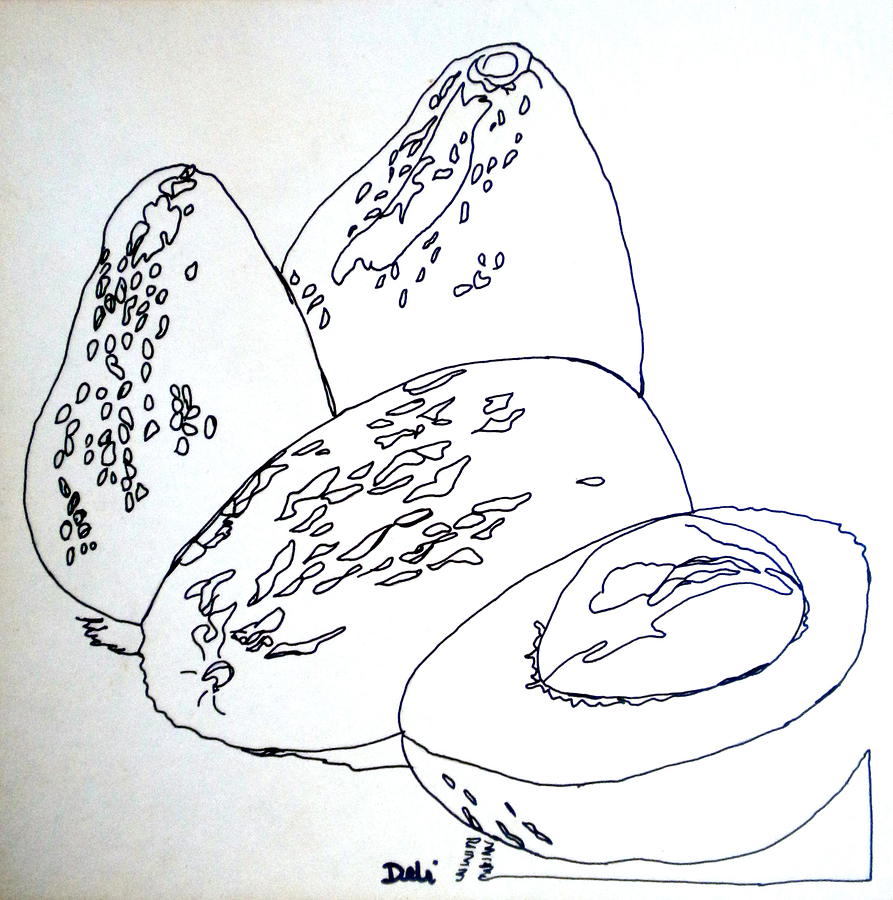 Contour Line Avocados Painting by Debi Starr
