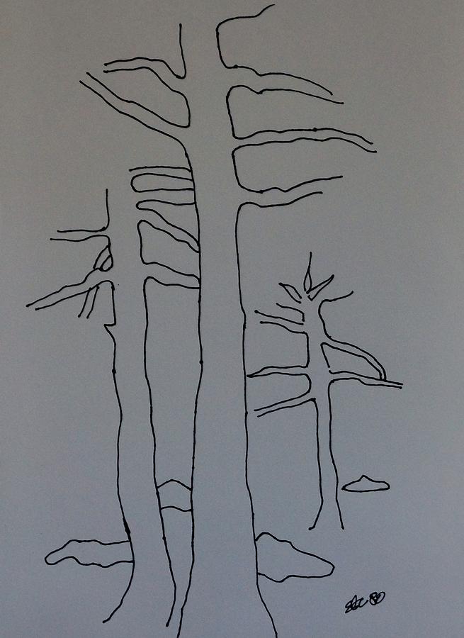 Contour Tree Four Drawing by Erika Jean Chamberlin