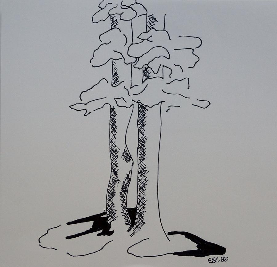 Contour Tree One Drawing by Erika Jean Chamberlin