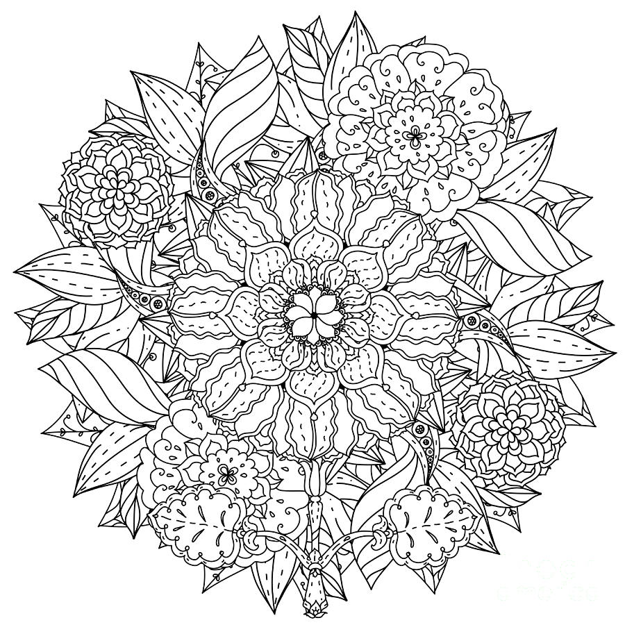 Contoured Mandala Shape Flowers Digital Art by Mashabr - Pixels