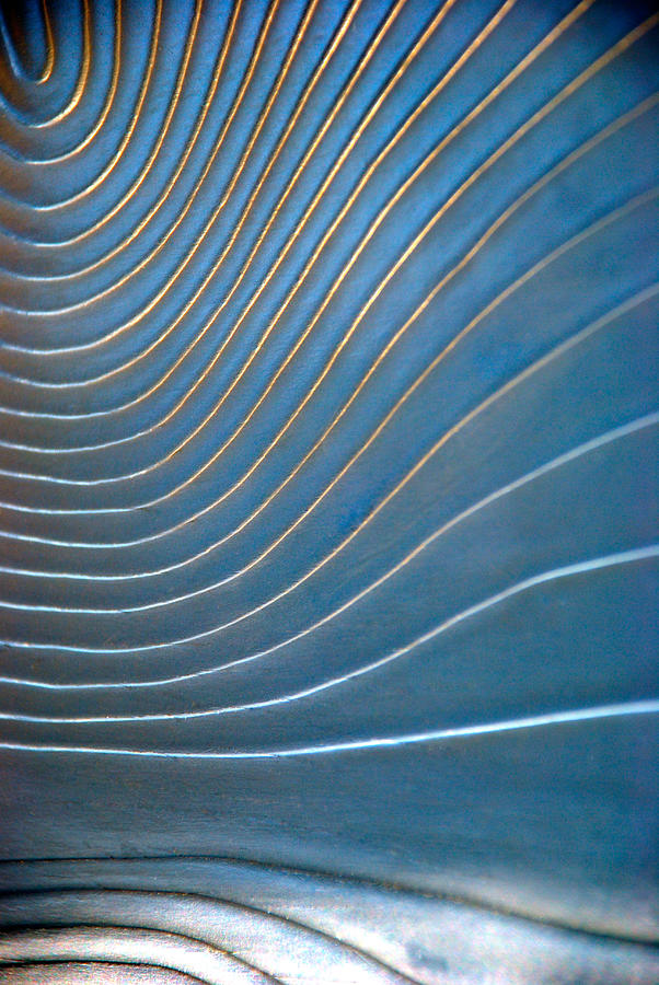 Contours 1 Photograph by Wendy Wilton