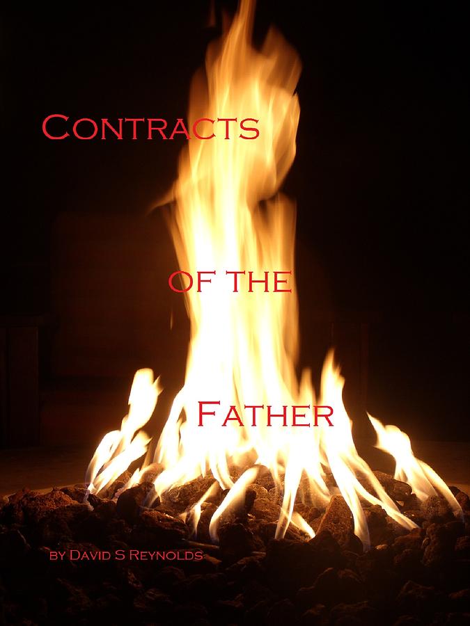 Contracts flame Photograph by David S Reynolds