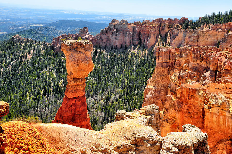 Contrasting Beauty - Bryce Canyon National Park - Utah Photograph by Bruce Friedman