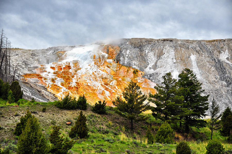 Contrasting Landscape - Yellowstone National Park - Wyoming Photograph by Bruce Friedman