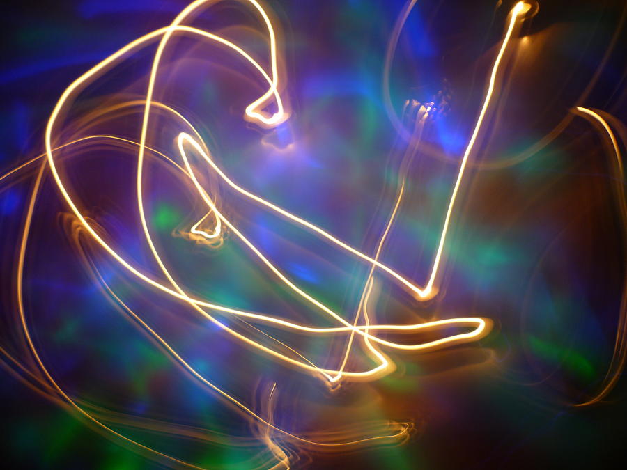 Conversationalist Photograph by Sheldon Landa Fine Art America