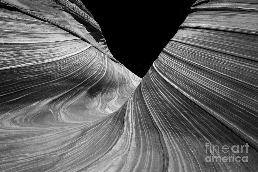 The Wave Photograph - Convolution by Dennis Hedberg