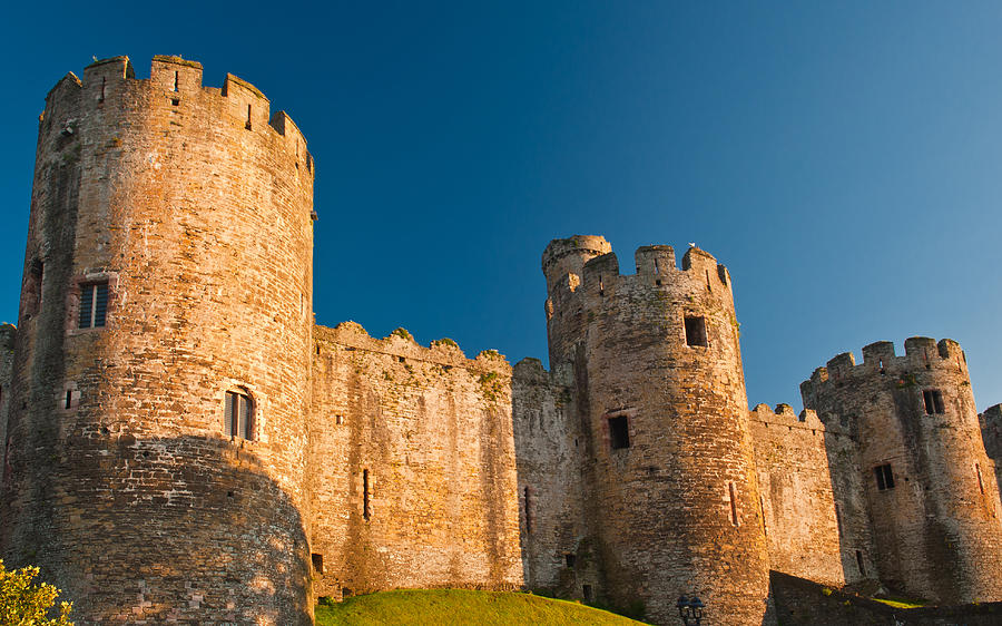 Conwy Castle Photograph by David Ross