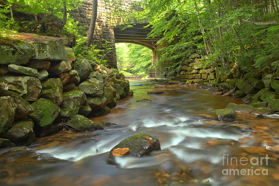 Cook Forest Stream Under The Bridge Photograph by Adam Jewell