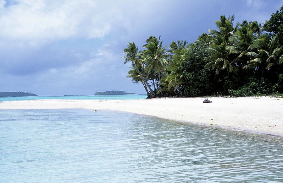 Nature Photograph - Cook Islands Beach by Andy Crump/science Photo Library