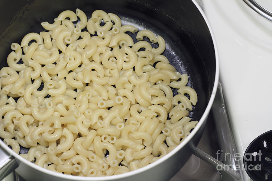 Cooked Macaroni Photograph by Lee Serenethos - Fine Art America