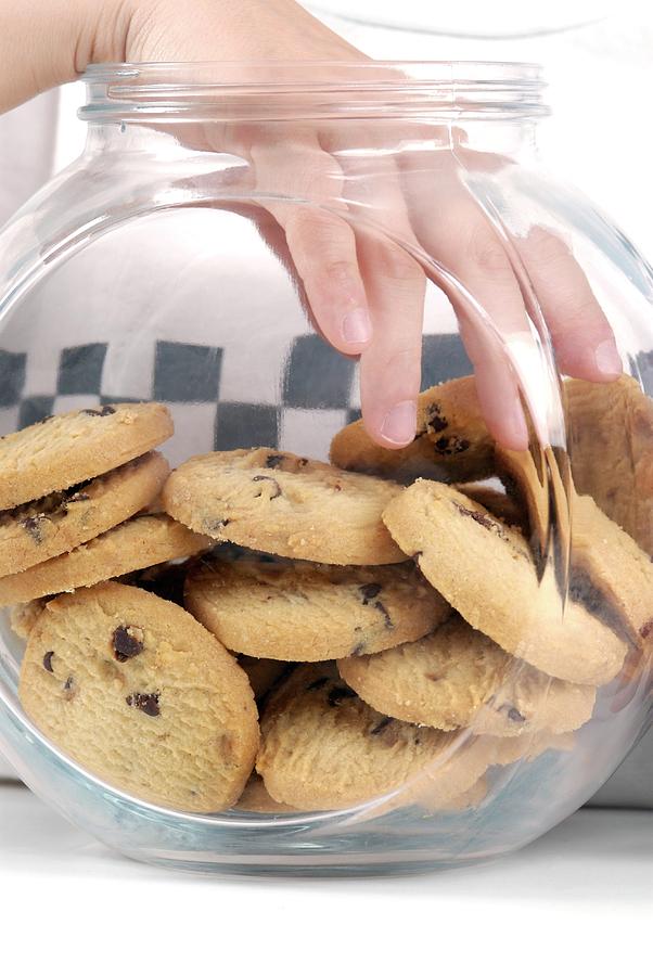 Cookie Jar Photograph by Lea Paterson/science Photo Library