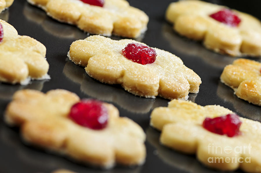 Cookie Photograph - Cookies 3 by Elena Elisseeva