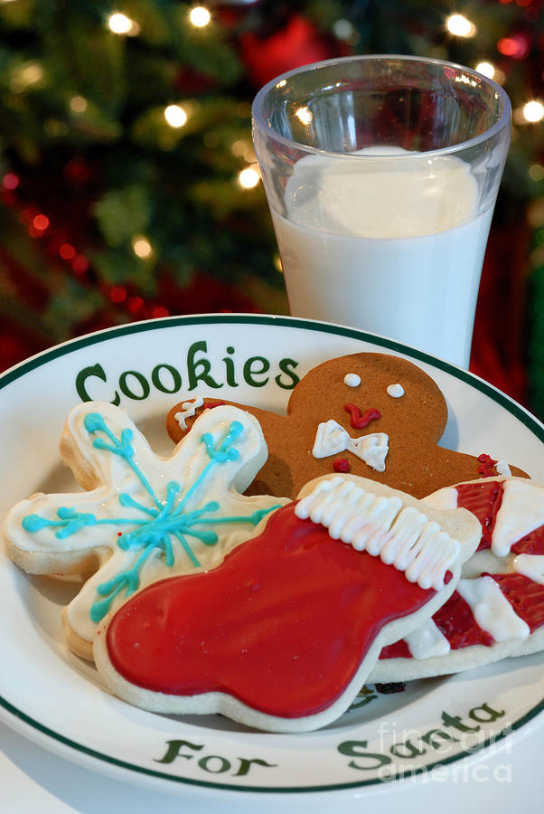 Christmas Photograph - Cookies for Santa  by Amy Cicconi