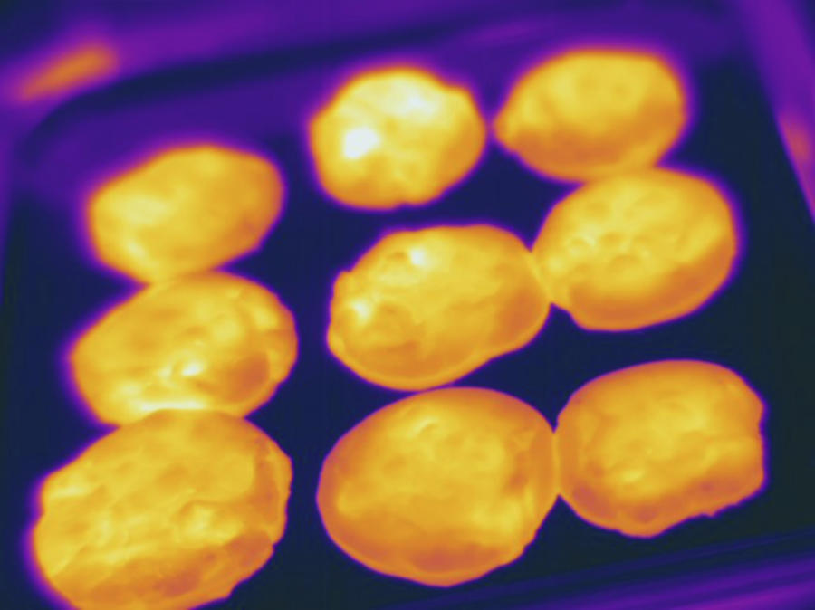 Cookies, Thermogram Photograph by Science Stock Photography