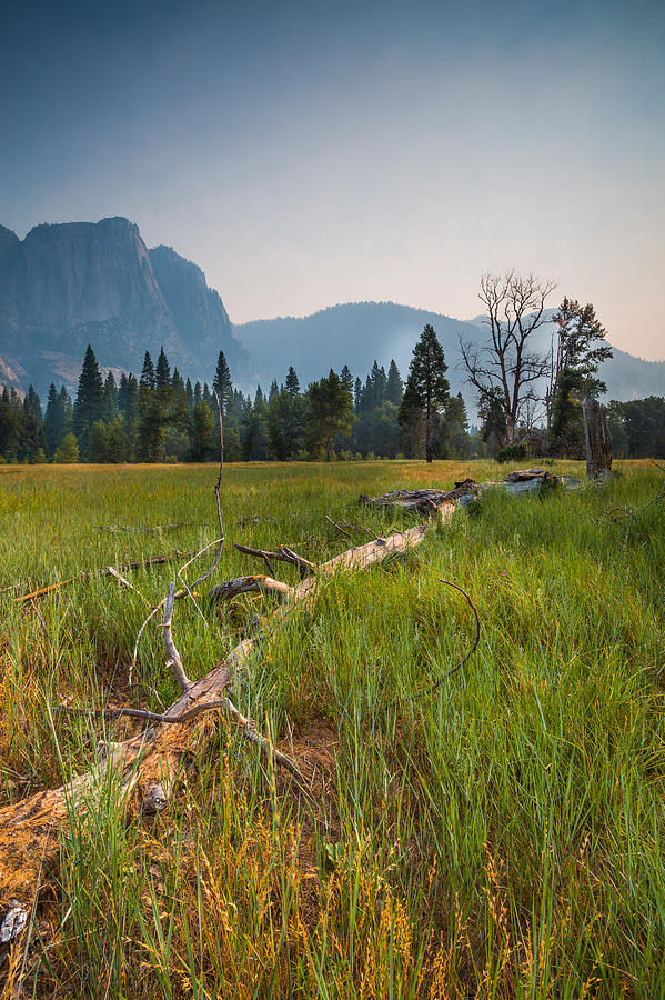 Yosemite National Park Photograph - Cooks Meadow by Mike Lee