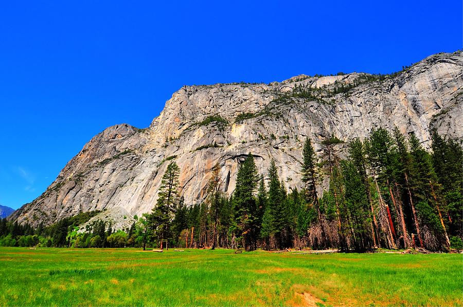 Cooks Meadow - Yosemite National Park Photograph by Bruce Friedman