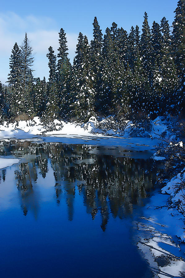 Cool Blue Shadows - Riverbank Winter Digital Art by Georgia Mizuleva