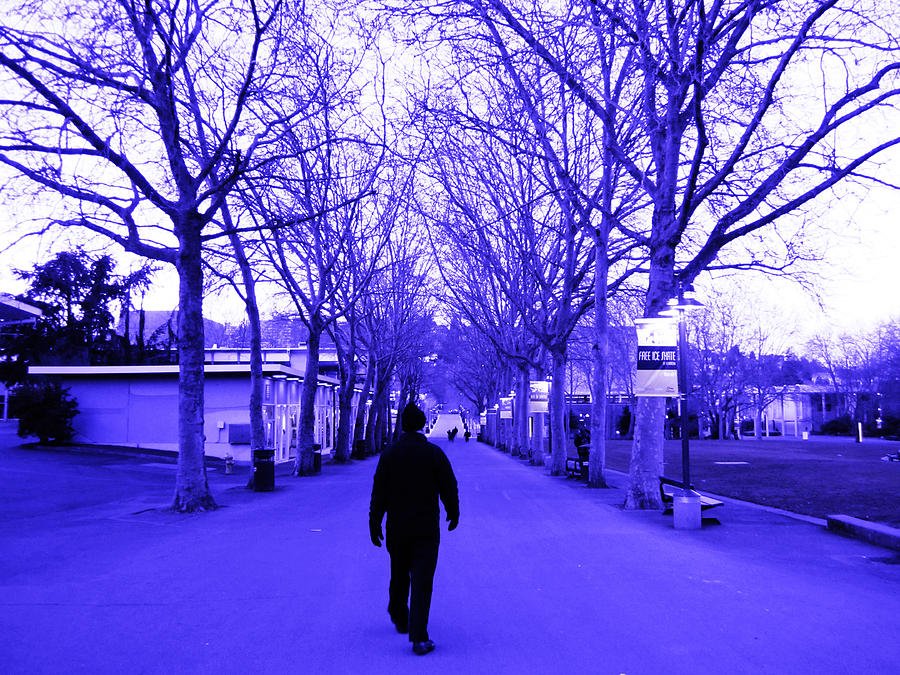 Cool  Blue Winters Walk Photograph by Kym Backland