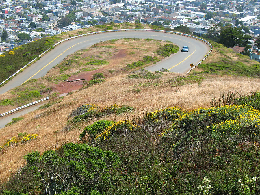 Cool Drive on Twin Peaks - San Francisco Photograph by Connie Fox